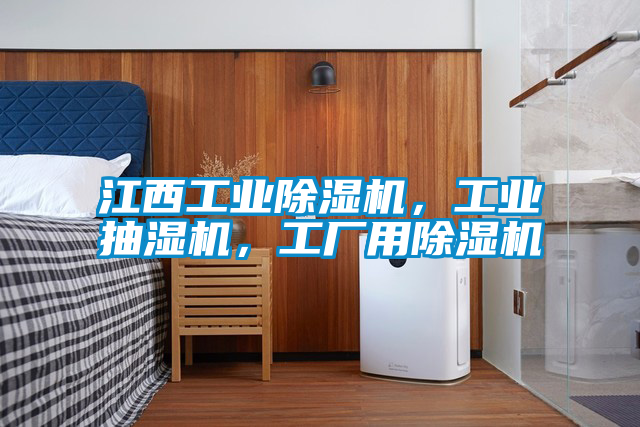 江西工業除濕機，工業抽濕機，工廠用除濕機
