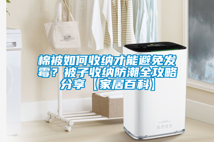 棉被如何收納才能避免發霉？被子收納防潮全攻略分享【家居百科】