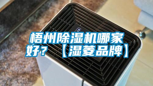 梧州除濕機哪家好？【濕菱品牌】