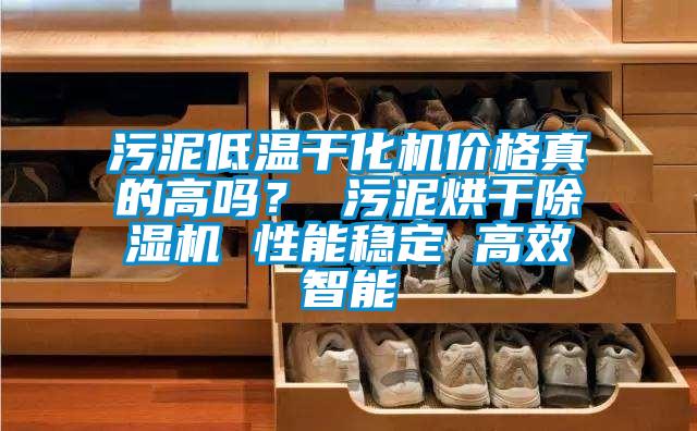 污泥低溫干化機價格真的高嗎？ 污泥烘干除濕機 性能穩定 高效智能