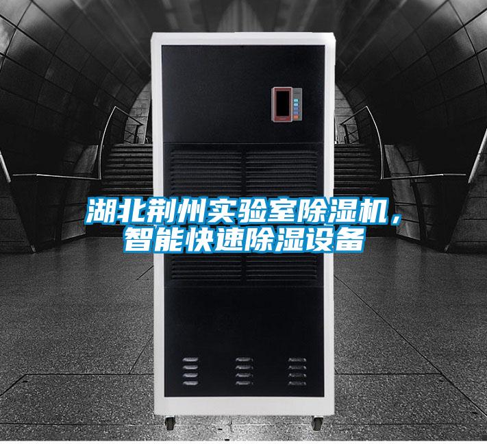 湖北荊州實驗室除濕機，智能快速除濕設備
