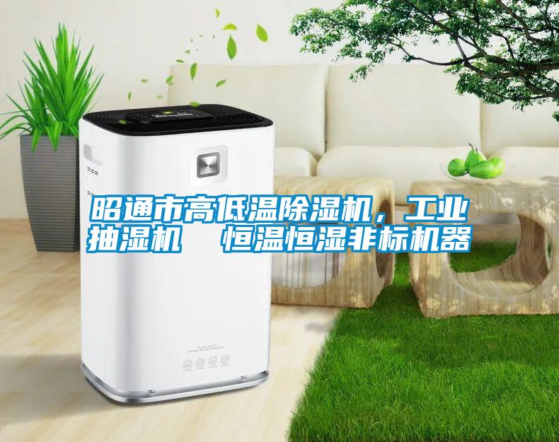 昭通市高低溫除濕機，工業抽濕機  恒溫恒濕非標機器