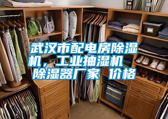 武漢市配電房除濕機，工業抽濕機  除濕器廠家 價格