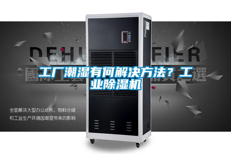 工廠潮濕有何解決方法？工業除濕機
