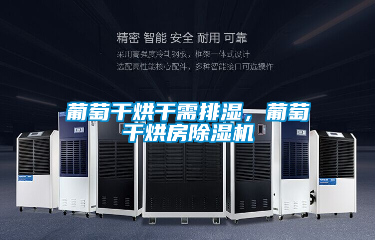 葡萄干烘干需排濕，葡萄干烘房除濕機