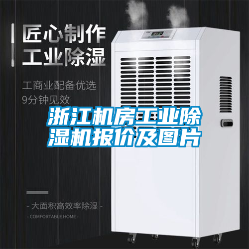 浙江機房工業除濕機報價及圖片