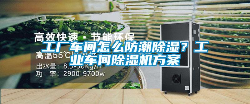 工廠車間怎么防潮除濕？工業車間除濕機方案