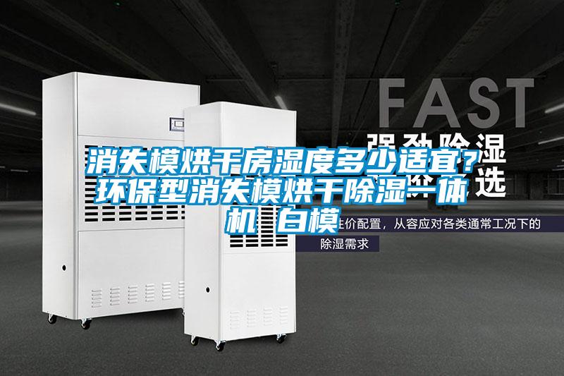 消失模烘干房濕度多少適宜？環保型消失模烘干除濕一體機 白模