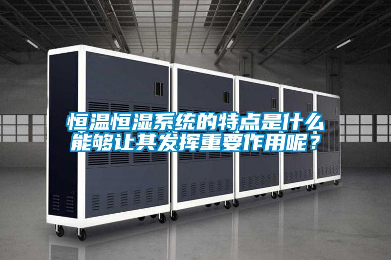 恒溫恒濕系統的特點是什么能夠讓其發揮重要作用呢？