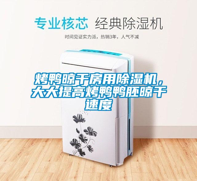 烤鴨晾干房用除濕機，大大提高烤鴨鴨胚晾干速度