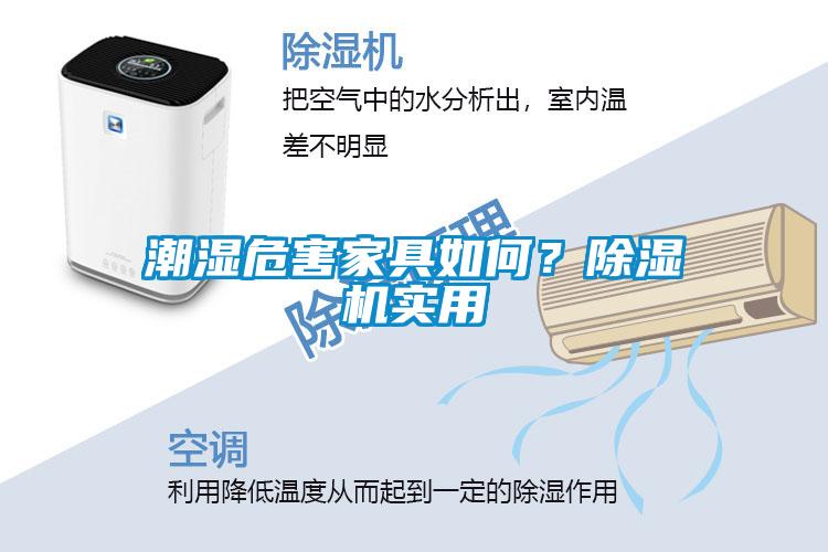 潮濕危害家具如何？除濕機實用