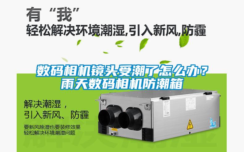 數碼相機鏡頭受潮了怎么辦？雨天數碼相機防潮箱