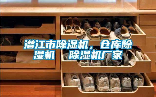 潛江市除濕機，倉庫除濕機  除濕機廠家