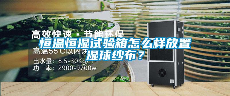 恒溫恒濕試驗箱怎么樣放置濕球紗布？