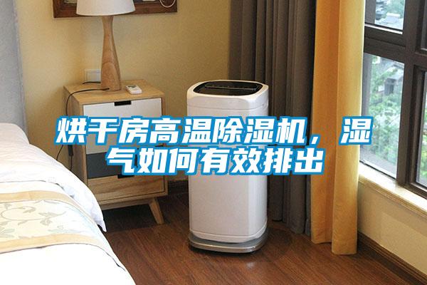 烘干房高溫除濕機，濕氣如何有效排出