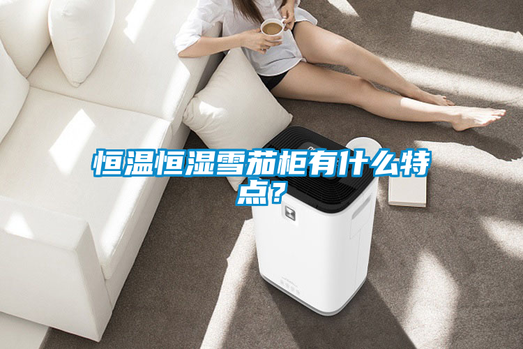 恒溫恒濕雪茄柜有什么特點？