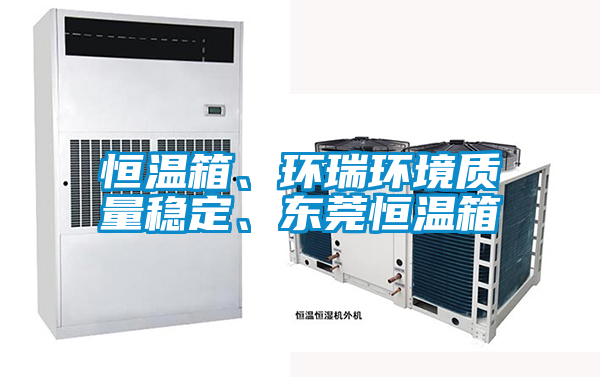 恒溫箱、環瑞環境質量穩定、東莞恒溫箱