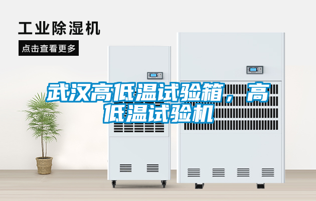 武漢高低溫試驗箱，高低溫試驗機