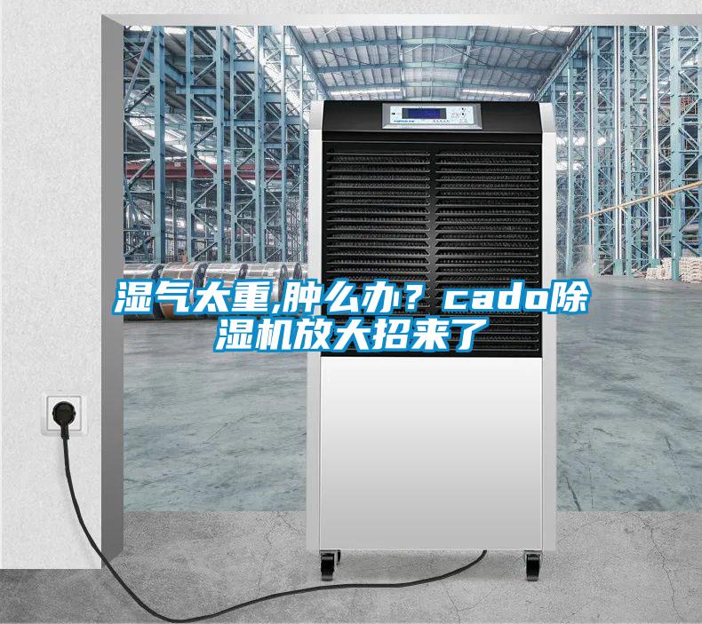 濕氣太重,腫么辦？cado除濕機放大招來了