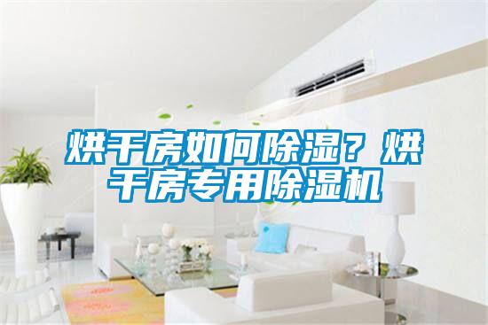 烘干房如何除濕？烘干房專用除濕機