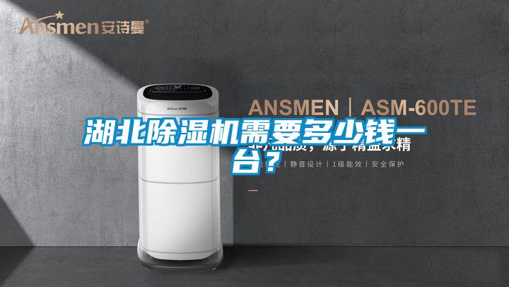 湖北除濕機需要多少錢一臺？