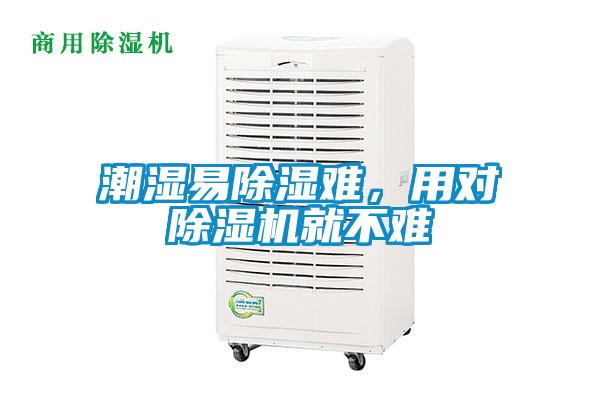 潮濕易除濕難，用對除濕機就不難