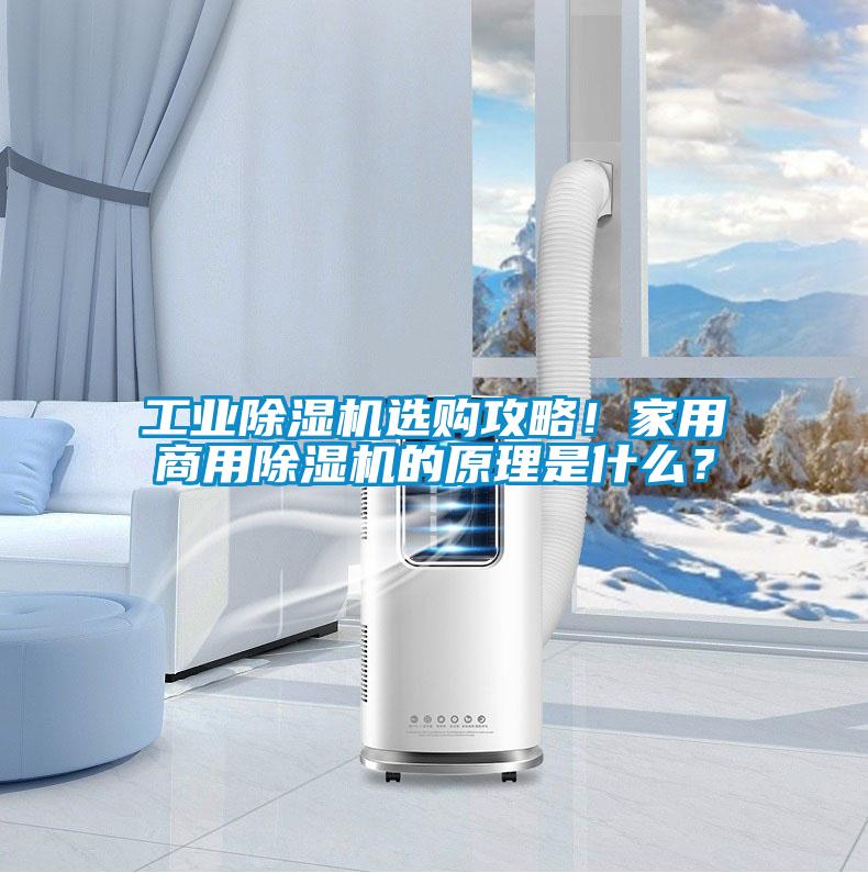工業除濕機選購攻略！家用商用除濕機的原理是什么？
