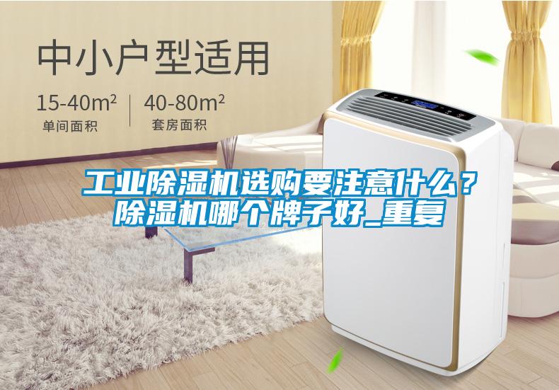 工業除濕機選購要注意什么？除濕機哪個牌子好_重復
