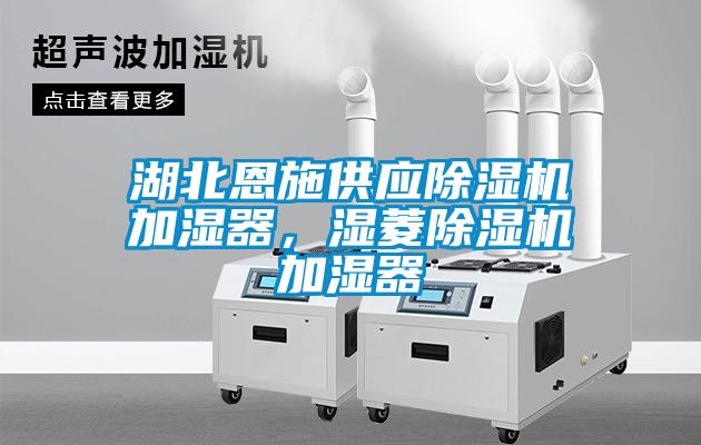 湖北恩施供應除濕機加濕器，濕菱除濕機加濕器