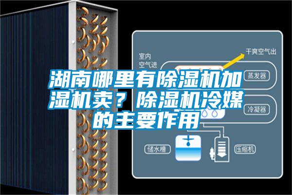 湖南哪里有除濕機加濕機賣？除濕機冷媒的主要作用
