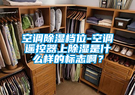 空調除濕檔位-空調遙控器上除濕是什么樣的標志??？