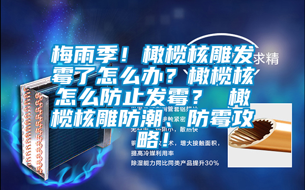 梅雨季！橄欖核雕發霉了怎么辦？橄欖核怎么防止發霉？ 橄欖核雕防潮、防霉攻略！