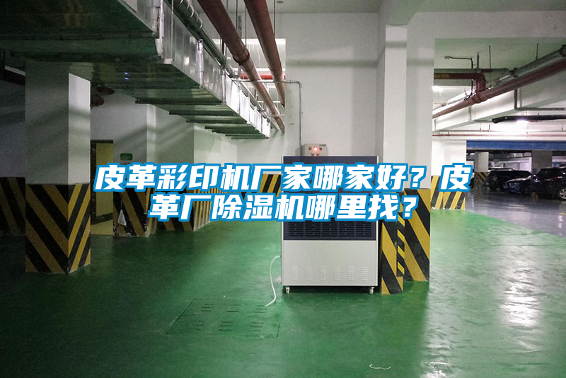 皮革彩印機廠家哪家好？皮革廠除濕機哪里找？