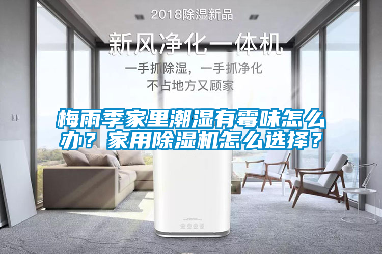 梅雨季家里潮濕有霉味怎么辦？家用除濕機怎么選擇？