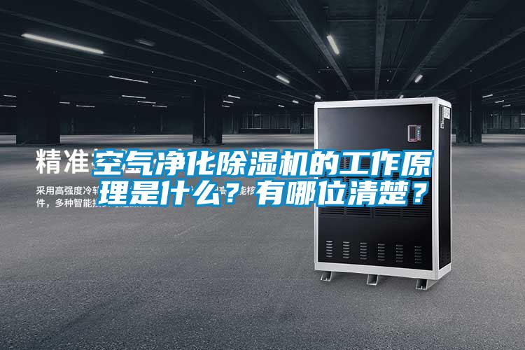 空氣凈化除濕機的工作原理是什么？有哪位清楚？