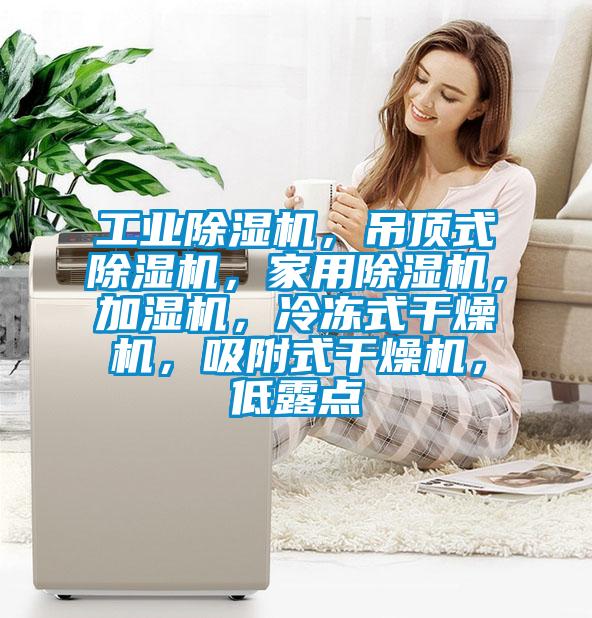 工業除濕機，吊頂式除濕機，家用除濕機，加濕機，冷凍式干燥機，吸附式干燥機，低露點