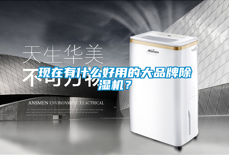 現在有什么好用的大品牌除濕機？