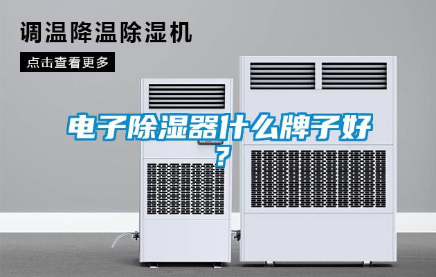 電子除濕器什么牌子好？