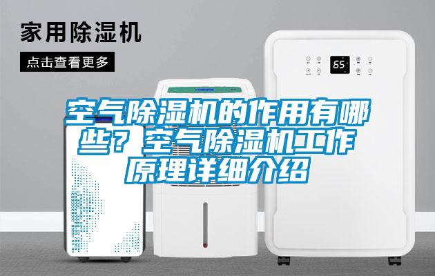 空氣除濕機的作用有哪些？空氣除濕機工作原理詳細介紹