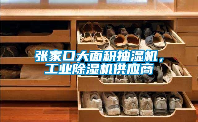 張家口大面積抽濕機，工業除濕機供應商