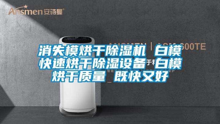 消失模烘干除濕機 白?？焖俸娓沙凉裨O備 白模烘干質量 既快又好