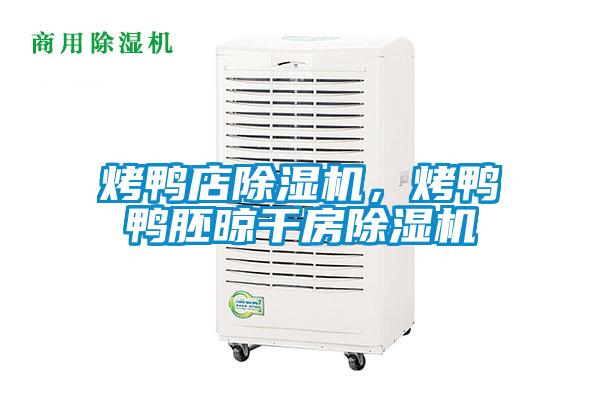烤鴨店除濕機，烤鴨鴨胚晾干房除濕機