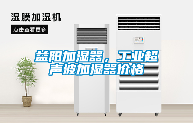 益陽加濕器，工業超聲波加濕器價格