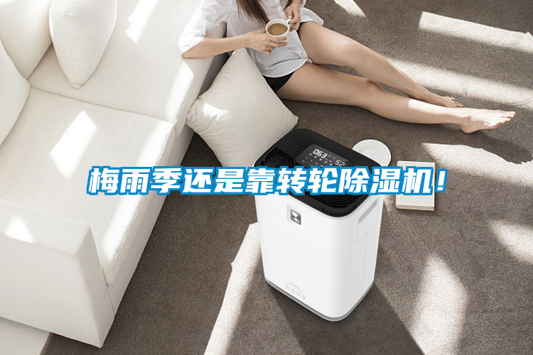 梅雨季還是靠轉輪除濕機！
