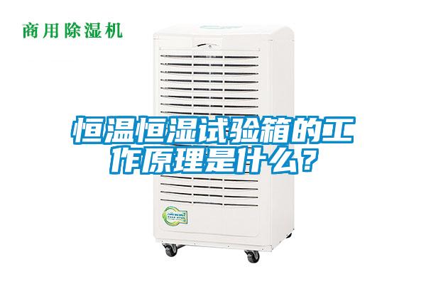 恒溫恒濕試驗箱的工作原理是什么？