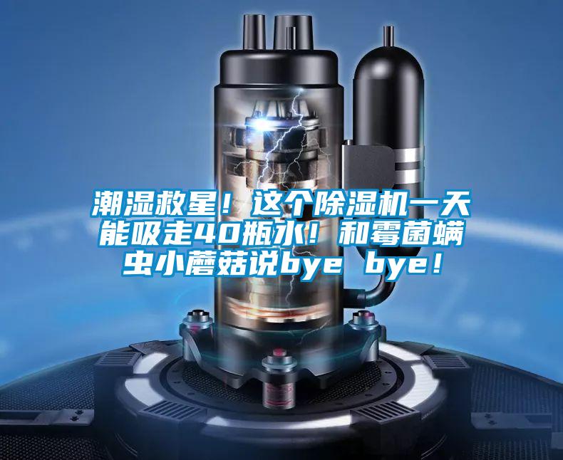 潮濕救星！這個除濕機一天能吸走40瓶水！和霉菌螨蟲小蘑菇說bye bye！