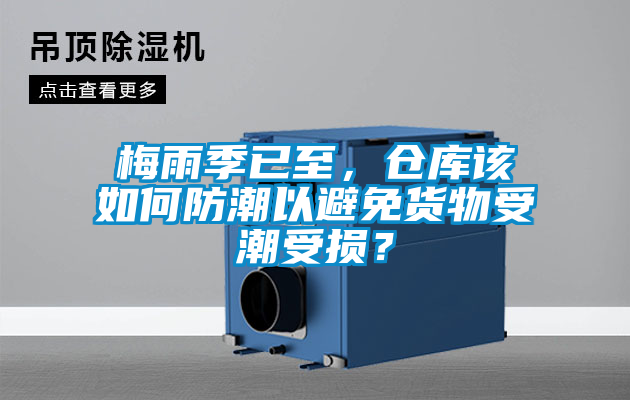 梅雨季已至，倉庫該如何防潮以避免貨物受潮受損？