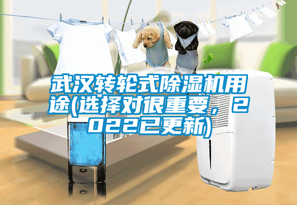 武漢轉輪式除濕機用途(選擇對很重要，2022已更新)
