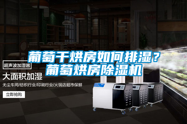 葡萄干烘房如何排濕？葡萄烘房除濕機