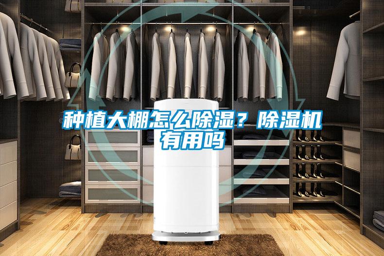 種植大棚怎么除濕？除濕機有用嗎